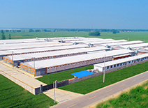 J9集团直营·(中国)官方网站