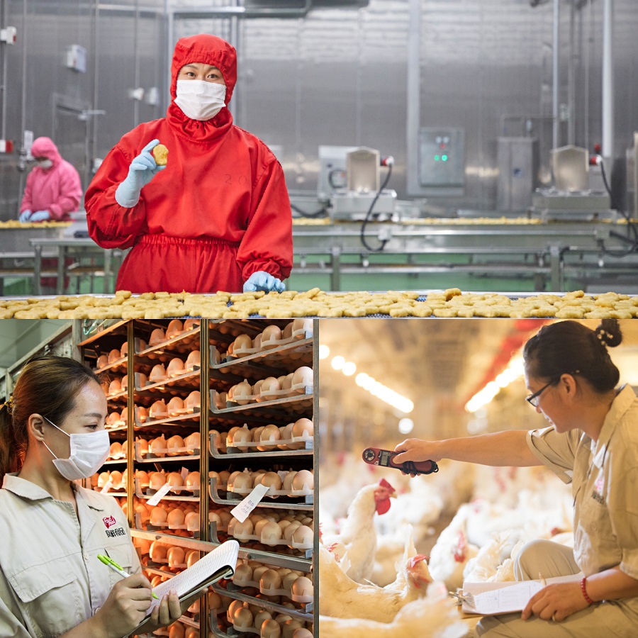 J9集团直营·(中国)官方网站