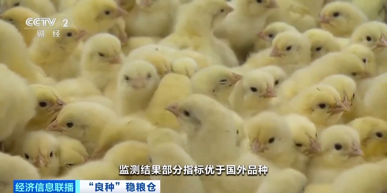 20260408094152_46030 J9集团直营·(中国)官方网站